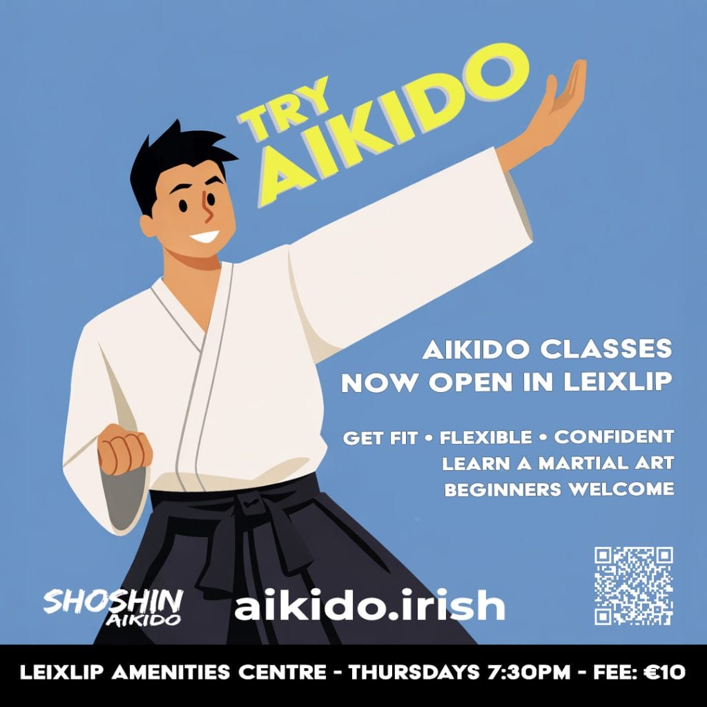 Aikido Class in Leixlip, Maynooth, Lucan, Dublin, Celbridge and more. Try Aikido Poster.