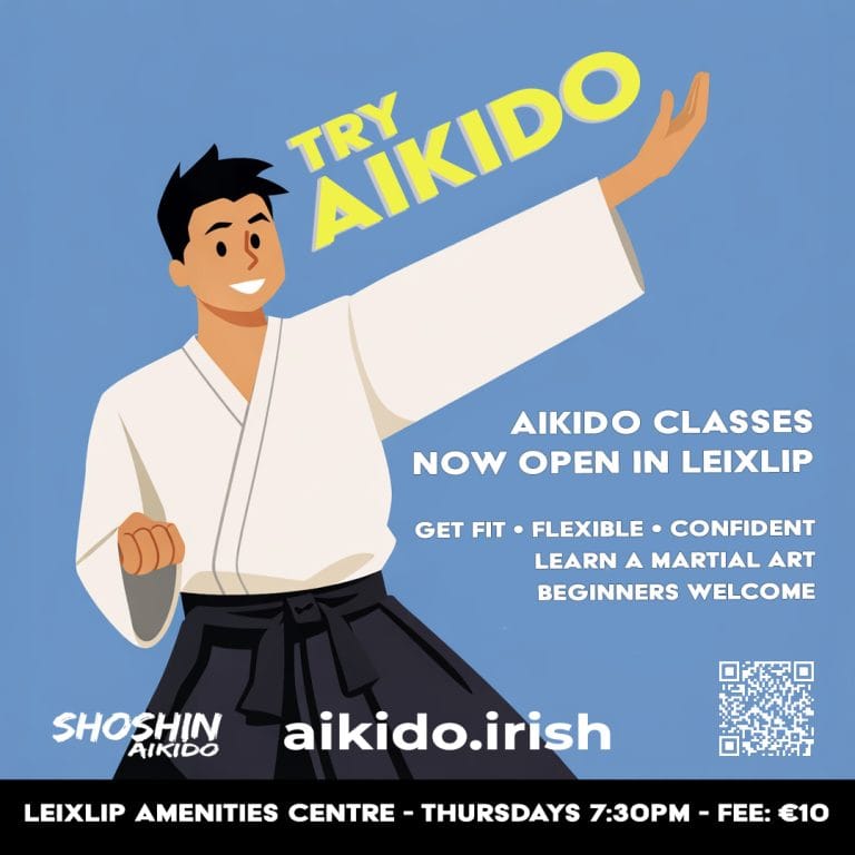Aikido Class in Leixlip, Maynooth, Lucan, Dublin, Celbridge and more. Try Aikido Poster.